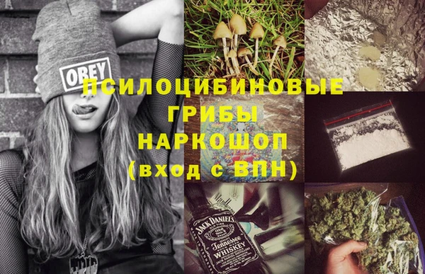 бутират Инта
